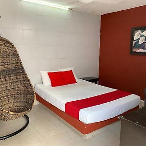 Habitación Estándar con Cama King